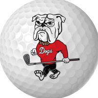 Morgan County Golf(@MOCO_golf) 's Twitter Profile Photo