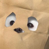 hidden p. 🍑 (@oshliferuiner) 's Twitter Profile Photo