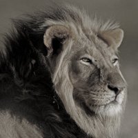 LalitK (@lalitkkumar) 's Twitter Profile Photo LalitK (@lalitkkumar) 's Twitter Profile Photo