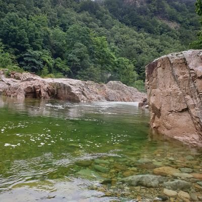 nogada2377's profile picture. 