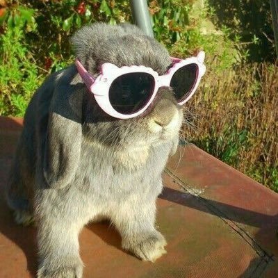 KTdavisss's profile picture. 