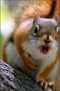 deotoperli's profile picture. Менеджер по работе с отелями