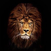 المُصَامِص (@kalid6563) 's Twitter Profile Photo المُصَامِص (@kalid6563) 's Twitter Profile Photo
