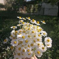 Halime Yılmaz (@halime3542) 's Twitter Profile Photo Halime Yılmaz (@halime3542) 's Twitter Profile Photo
