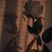 غاليه🦋 (@kalii_56) Twitter profile photo غاليه🦋 (@kalii_56) Twitter profile photo