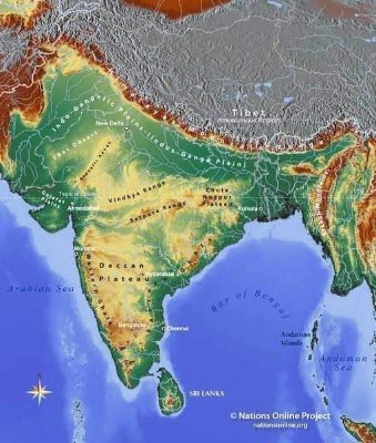 ShashiD06047093's profile picture. 