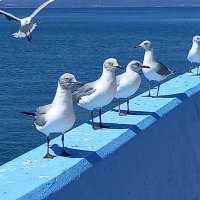 Carlos Fernandes (@carlosf26454491) 's Twitter Profile Photo