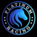 Platinum Horse Racing Ltd 🏇🏆 (@horseracingPG) Twitter profile photo
