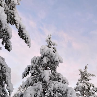 ROnjaMAts's profile picture. 