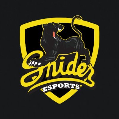 Official account of Snider High School Esports