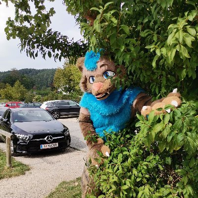 Hello, and Welcome to my Twitter. I'm Kalou a friendly Lion from Germany!   
 |  🪡 diy Fursuiter  | 🇩🇪 | Vaccinated 3/3💉| Carpenter 🔨 | 
⏩ Awoostria