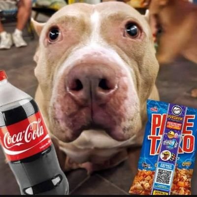 Degocat's profile picture. Fiumba
