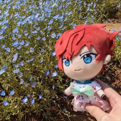 ❁⃘*.ﾟ割ピン.* ⚘さんのプロフィール画像