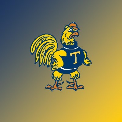 Official Twitter for @TrinityCollege Athletics. Proud member of the @NESCAC
For more information, check us out at  https://t.co/fSXe7DBwWl!