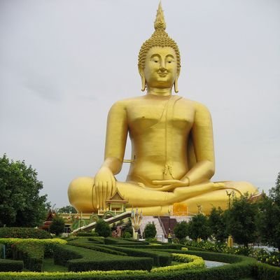 patel1010101's profile picture. 