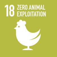 Beyond Cruelty Foundation (@beyondcruelty_) 's Twitter Profile