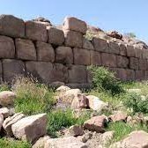 shoaib (@shoaib837528514) Twitter profile photo