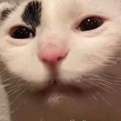 krattさんのプロフィール画像