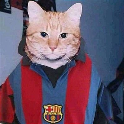 Visca Barça ♥️💙,follarme al Madrid es mi pasión amo a las blancas🤍

En éste perfil amamos a Messi y al Barça