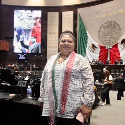 Diputada Federal migrante por la 2a Circunscripción “Soy una activista social que conoce las necesidades de los migrantes” olga.chavez@diputados.gob.mx