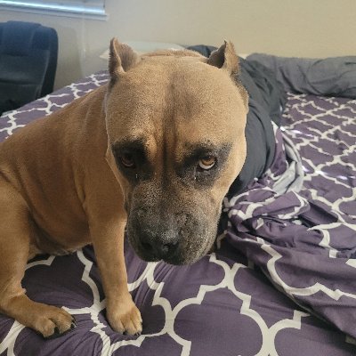 be_jealous323's profile picture. 