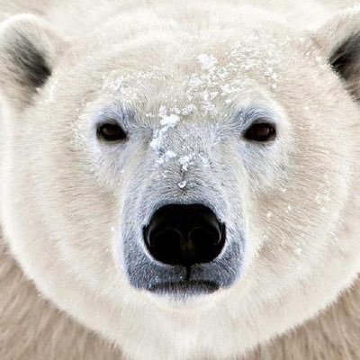 __sdn03's profile picture. CODE ABYSS Founder | CEO | Programmer💻
https://t.co/EkFV0znrze