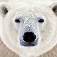 sdn03.sui (@__sdn03) Twitter profile photo