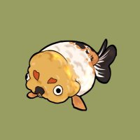 chan ga yu (@chanoliii) 's Twitter Profile