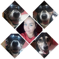 Hazel dayana saraly Maldonado (@hazelsaral38354) 's Twitter Profile