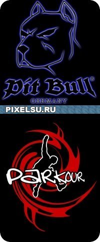 hasontiba's profile picture. Оптимизатор SEO