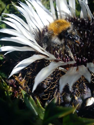 irischa63's profile picture. В каждом человеке — солнце. Только дайте ему светить. (Сократ)