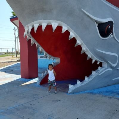 Jayknowsnothin_'s profile picture. 