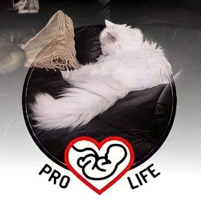 I am #agonistic #Humanitarian:-)Anti Abortion🏃🏂 Life is Family💑#Cats🐱Opera🎼 Pavarotti🎤poetry🗣📚#Gandhi🕉JP2⛪Coffee🍜🍹Animal Rights https://t.co/CZaXIlgkb6