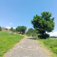 mavi (@mavi48849019) Twitter profile photo