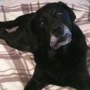 Katie Close - @K8ejonjack - Twitter