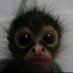 . (@notrophiess2) Twitter profile photo . (@notrophiess2) Twitter profile photo