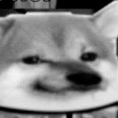 gacawicz's profile picture. Slava Ukraini 🇺🇦