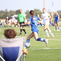 Lily Senese (@seneselily) 's Twitter Profile