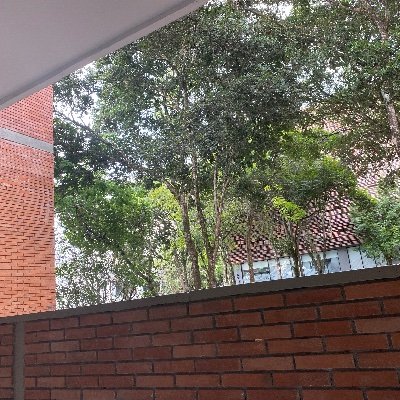 gbright2609's profile picture. 