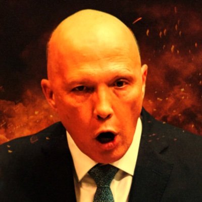 duttonheimer's profile picture. 