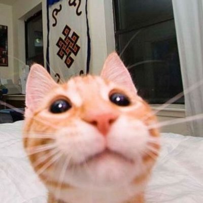 keyefsea's profile picture.