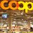 CoopKinder's profile image
