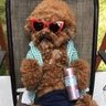 BarimaBbf's profile picture. Hold on....