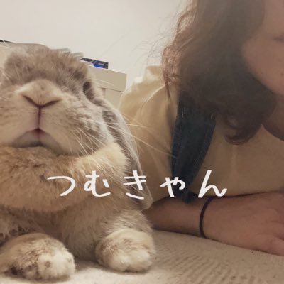 愛兎ホーランドロップ🐰月紬(つむぎ)と暮らす👩🏻‍🌾です🏕 ソロキャンデビューは2021梅雨☔️⚡️目標は月紬と一緒にうさキャンLIFE🐰camp大好き♡お酒大好き♡食べる事大好き♡男女問わず皆様仲良くしてください🙏😌無言フォロー失礼します🙇‍♀️