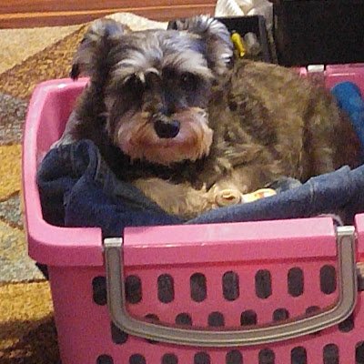 BrownOfficetech's profile picture. 