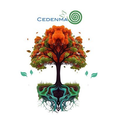 CEDENMA Profile Picture