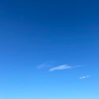 siro (@siro__music) 's Twitter Profile