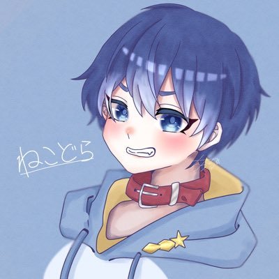 ねこドラ🐳💫さんのプロフィール画像