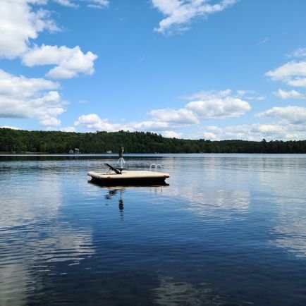 lisavincent70's profile picture. Travel Manager and Hockey Mom