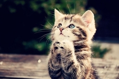 YokotaNobuko's profile picture. 韓国労働社会史を研究。全世界的な労働の非正規化、雇用の質の劣化の流れに深い憂慮。思想家、理論家、運動家、フェミニストとしての山川菊栄の現代的意味に注目。当然、反原発、反格差社会を目指します。